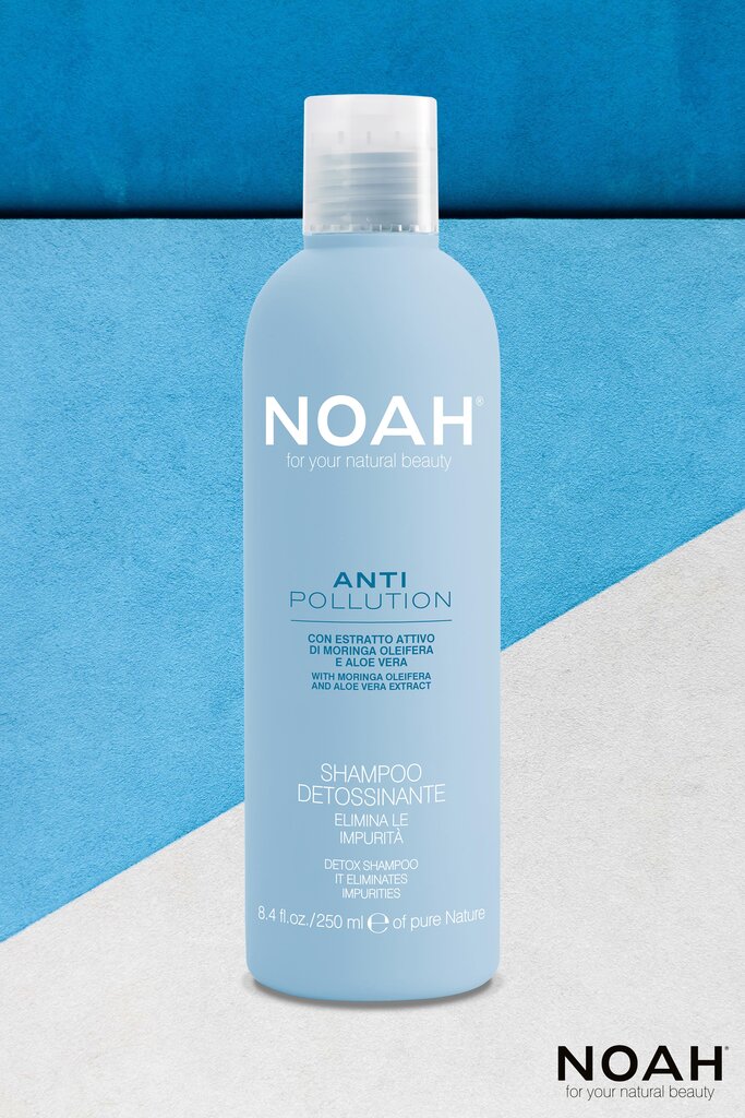 Šampoon aaloega Noah Detox Anti Pollution 250ml цена и информация | Šampoonid | hansapost.ee