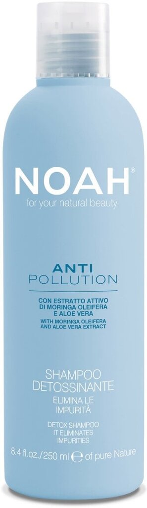 Šampoon aaloega Noah Detox Anti Pollution 250ml hind ja info | Šampoonid | hansapost.ee