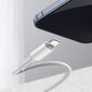 Kaabel Baseus USB Type C - Lightning 20 W, 1 m 6953156231924 цена и информация | Mobiiltelefonide kaablid | hansapost.ee