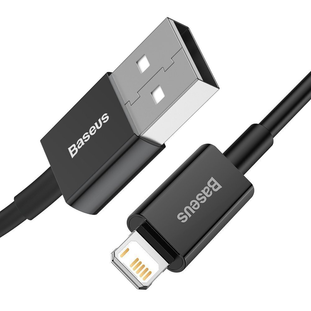 Baseus USB - Lightning, 1 m цена и информация | Mobiiltelefonide kaablid | hansapost.ee