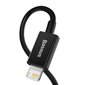 Baseus USB - Lightning, 1 m цена и информация | Mobiiltelefonide kaablid | hansapost.ee
