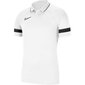 Meeste polosärk Nike Polo Dry Academy 21 M CW6104 100, valge hind ja info | Spordiriided meestele | hansapost.ee
