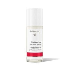 Дезодорант Dr. Hauschka Sage Mint, 50 мл цена и информация | Дезодоранты | hansapost.ee