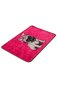 Asir vannivaip Pink Pug, 40x60 cm hind ja info | Vannitoa aksessuaarid | hansapost.ee