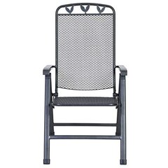 Складной наружный стул Toulouse 58x64, серый цена и информация | Садовые стулья, кресла, пуфы | hansapost.ee