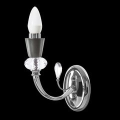 Настенный светильник Melba, 9x21x25 см, серебро цена и информация | Настенные светильники | hansapost.ee