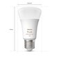 Pirnid Philips Hue White and Color, 4 tk цена и информация | Lambipirnid ja LED-pirnid | hansapost.ee