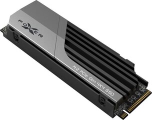 SP01KGBP44XS7005 цена и информация | Внутренние жёсткие диски (HDD, SSD, Hybrid) | hansapost.ee