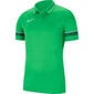 Meeste polosärk Nike Polo Dry Academy 21 M CW6104 362, roheline hind ja info | Spordiriided meestele | hansapost.ee