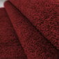 Vaip Ayyildiz Ata Red 7000, 120x170 cm hind ja info | Vaibad | hansapost.ee