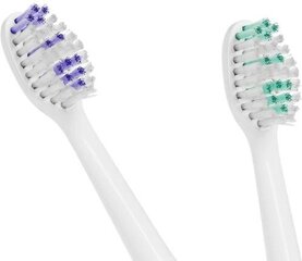 Elektriline hambahari Teesa Sonic Pro Tsa8011 hind ja info | Elektrilised hambaharjad | hansapost.ee