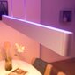 Philips Hue Ensis nutikas valge rippvalgusti 2x39W цена и информация | Laelambid | hansapost.ee