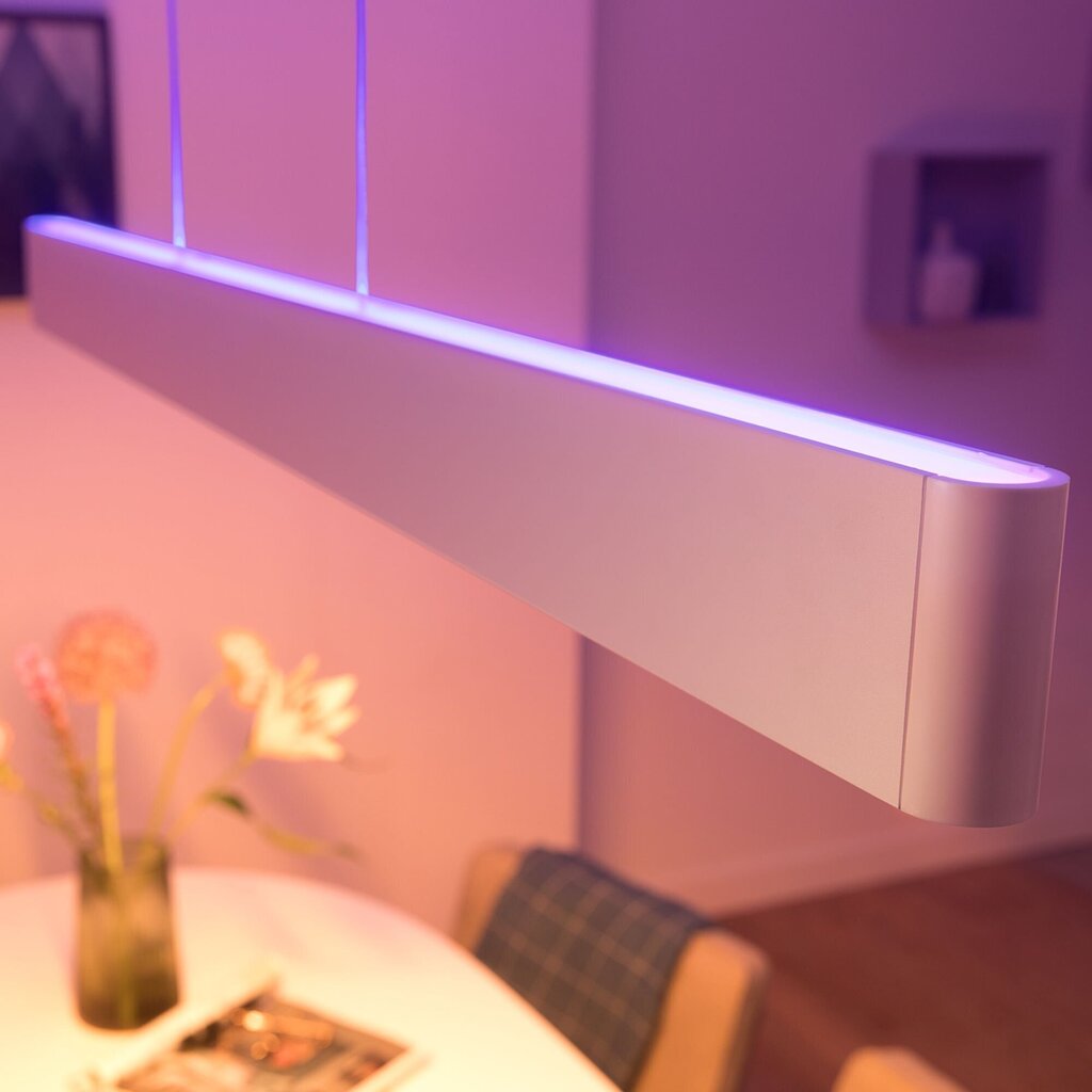 Philips Hue Ensis nutikas valge rippvalgusti 2x39W hind ja info | Laelambid | hansapost.ee