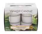 Lõhnavad teeküünlad Yankee Candle Camellia Blossom 9,8 g, 12 tk