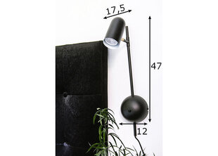 Настенный светильник Swan, черный цена и информация | Настенный светильник Конусы | hansapost.ee