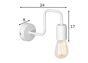 Настенный светильник Ezop Eko, белый цена и информация | Настенные светильники | hansapost.ee