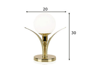 Настольная лампа Savoy, латунь цена и информация | Настольная лампа | hansapost.ee