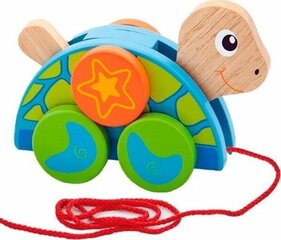 Разноцветная колесная черепаха, Вига цена и информация | Игрушки для малышей | hansapost.ee