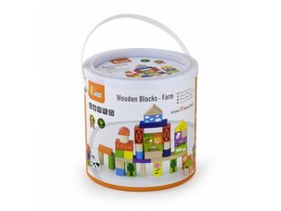 Деревянные блоки 50 шт. Viga цена и информация | Развивающие игрушки для детей | hansapost.ee