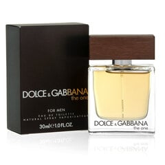 Мужская парфюмерия The One Dolce & Gabbana EDT, 30 мл цена и информация | Духи для Него | hansapost.ee