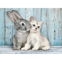 Пазл Clementoni High Quality Cat & Bunny 500 д. цена и информация | Пазлы | hansapost.ee