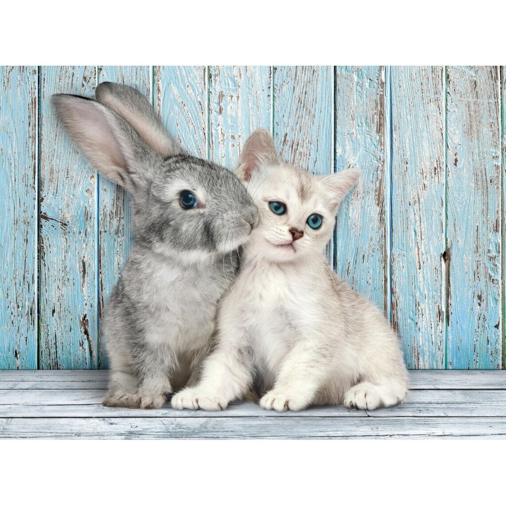 Pusle Clementoni High Quality Cat & Bunny 500 osa цена и информация | Pusled lastele ja täiskasvanutele | hansapost.ee