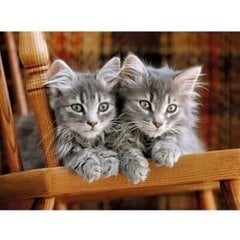 Головоломка Clementoni High Quality Collection Kittens (Котята), 30545, 500 д. цена и информация | Пазлы | hansapost.ee