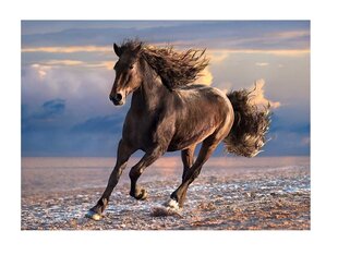 Пазл Clementoni High Quality Дикая лошадь, 1000 д. цена и информация | Пазлы | hansapost.ee