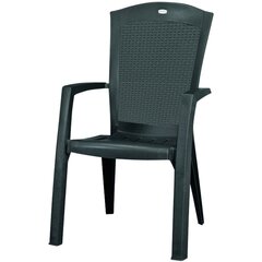 Стул Allibert Minnesota цена и информация | Садовые стулья, кресла, пуфы | hansapost.ee