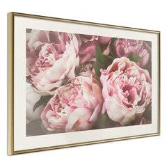 Poster - Pastel Peonies hind ja info | Seinapildid | hansapost.ee