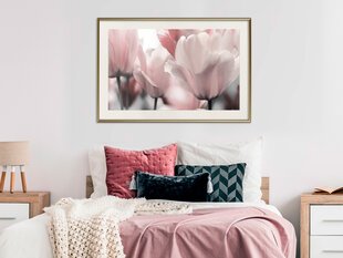 Poster - Pastel Tulips II hind ja info | Seinapildid | hansapost.ee