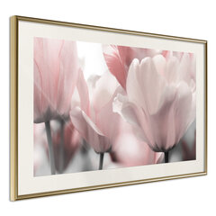 Poster - Pastel Tulips II hind ja info | Seinapildid | hansapost.ee