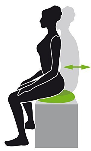 Tasakaalupadi Schildkrot Seat Cushion Fit+ цена и информация | Tasakaalupadjad | hansapost.ee