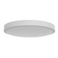 Yeelight Ceiling Light C2001C550 цена и информация | Laelambid | hansapost.ee