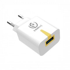 Зарядка Rebeltec RBLAKT00002 USB, 5 В цена и информация | Зарядные устройства для телефонов | hansapost.ee