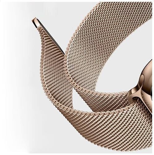 Devia Elegant Series Milanese Loop sobib Apple Watch(40mm), Kuldne hind ja info | Nutikellade aksessuaarid ja tarvikud | hansapost.ee