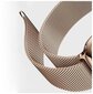 Devia Elegant Series Milanese Loop sobib Apple Watch(40mm), Kuldne цена и информация | Nutikellade aksessuaarid ja tarvikud | hansapost.ee