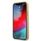 Telefoniümbris Guess GUHCP12LPUILGLG iPhone 12 Pro Max 6,7" цена и информация | Telefonide kaitsekaaned ja -ümbrised | hansapost.ee