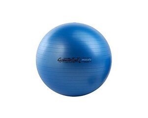 Мяч гимнастический Pezzi Maxafe 53 см, синий цена и информация | Гимнастические мячи | hansapost.ee
