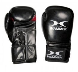 Боксерские перчатки Hammer X-SHOCK цена и информация | Hammer Спорт, досуг, туризм | hansapost.ee