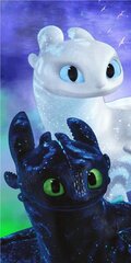 Пляжное полотенце How To Train Your Dragon Magic, 70 x 140 cm цена и информация | Полотенца | hansapost.ee