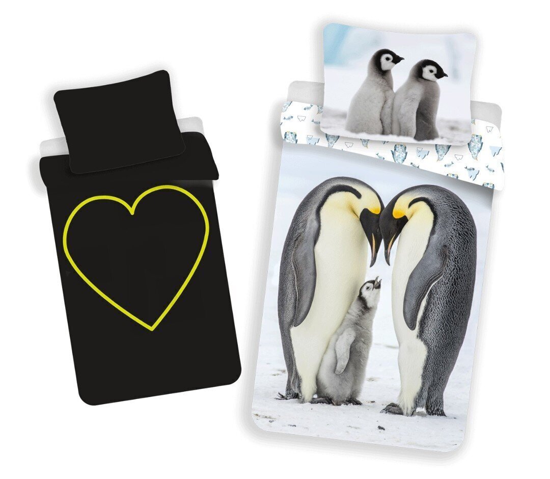 Voodipesukomplekt Penguins with glowing effect, 140 x 200 cm + padjapüür 70 x 90 cm цена и информация | Laste voodipesu | hansapost.ee