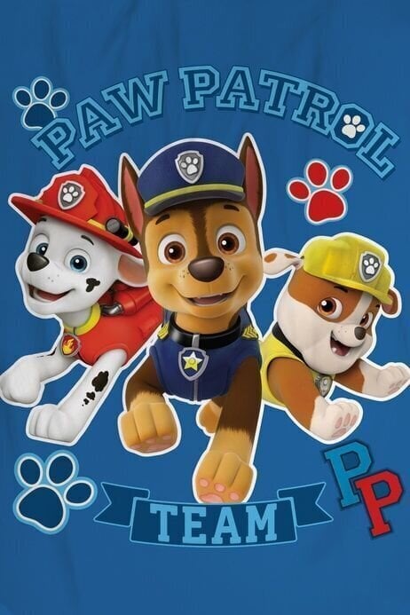 Pleed Paw Patrol 100 x 150 cm hind ja info | Pleedid, voodikatted ja päevatekid | hansapost.ee