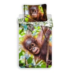 Voodipesukomplekt Orangutan, 140 x 200 cm + padjapüür 70 x 90 cm цена и информация | Постельное белье | hansapost.ee