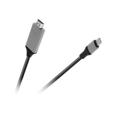 Kaabel, HDMI x USB C, 2 m hind ja info | Juhtmed ja kaablid | hansapost.ee