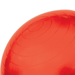 Гимнастический мяч HMS YB01 65 см с насосом, розовый цена и информация | Гимнастические мячи | hansapost.ee
