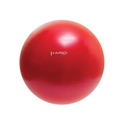 Гимнастический мяч HMS YB01 65 см с насосом, розовый цена и информация | Гимнастические мячи | hansapost.ee