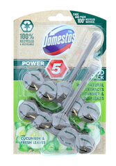 Domestos WC-poti värskendaja Power 5 Cucumber & Fresh Leaves, 2x55 g hind ja info | Puhastusvahendid | hansapost.ee