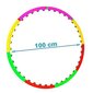 Masseeriv hularõngas Hula Hoop, 100 cm цена и информация | Hularõngad | hansapost.ee