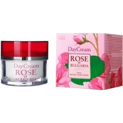 Niisutav päevakreem näole koos roosiveega Biofresh Rose of Bulgaria 50 ml price and information | Face creams | hansapost.ee